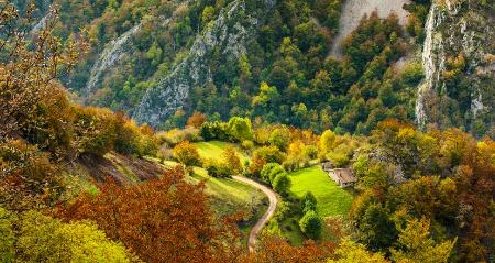 Imagen 9 must-see autumn festivals in Asturias in your diary