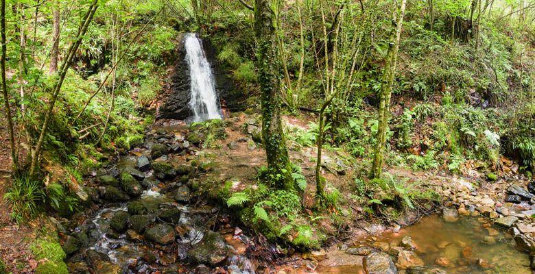 Image of the Nonaya river waterfall (Salas)