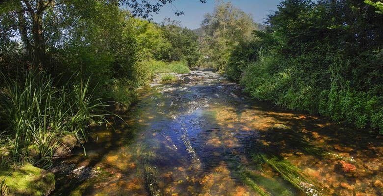 Image of the Nonaya River in Cornellana (Salas)