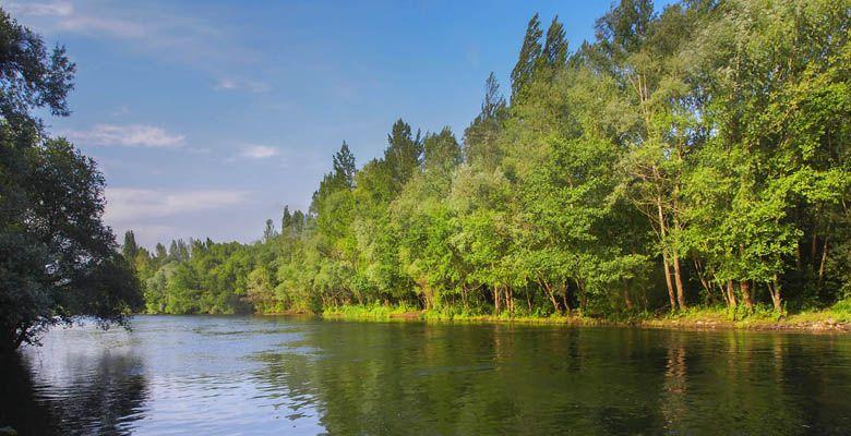 Image of the Narcea River (Salas)