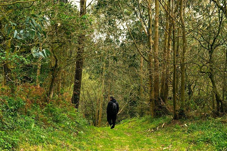 Image of the Castello-Porcía Trail