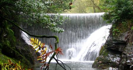 Imagen 6 propuestas culturales para tus niños este invierno