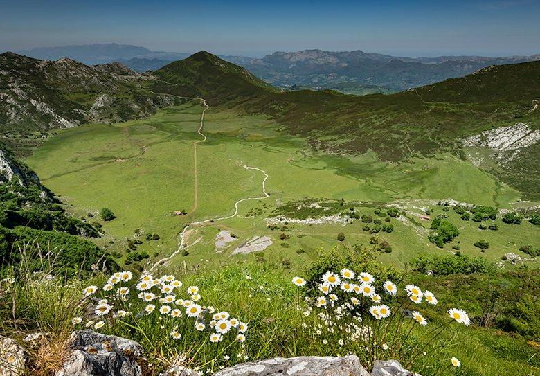 Image of the Comeya plain as seen from the Mirador del Príncipe ©Julio Herrera