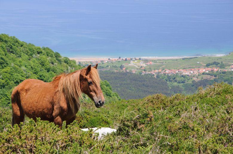 Image de la route du Picu Pienzu