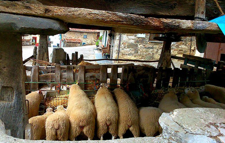 Image d'un hórreo à Peḷḷuno (Aller)