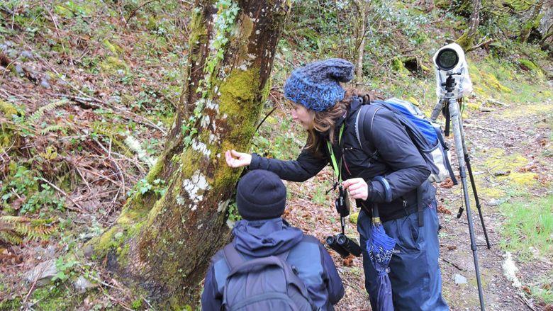 Imagen en el bosque siguiendo el rastro de los osos