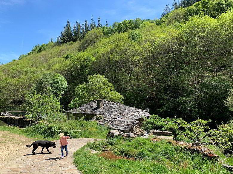 Image of Mazonovo (Santa Eulalia de Oscos)
