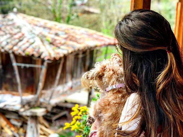 Image of a rural scene in Asturias