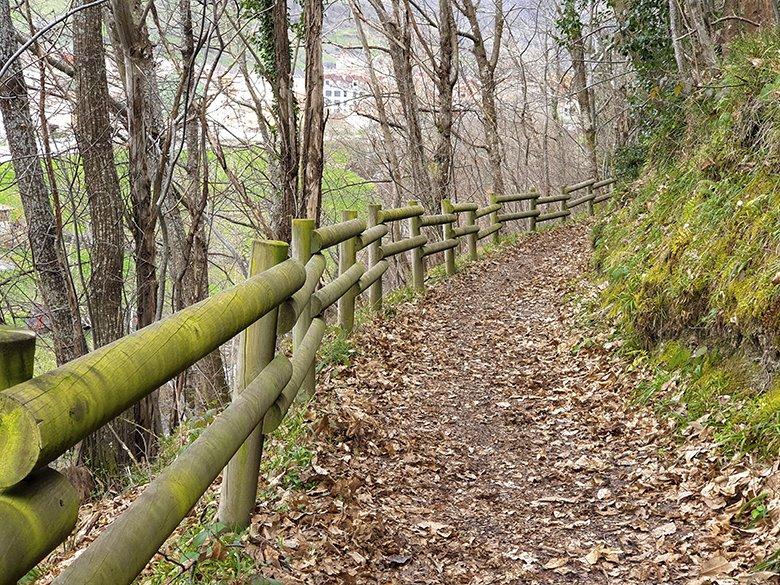 Immagine del Sentiero Verde Foyoso