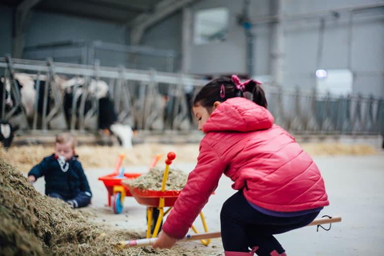 Image of the Vega de Tordín cheese factory (Cabrales)