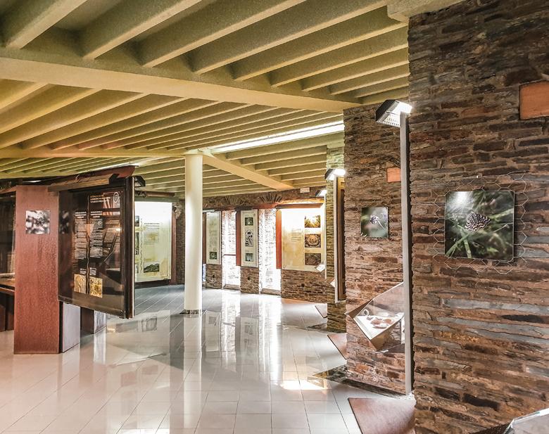 Image of the interior of the Aula Didáctica del Castro of Coaña