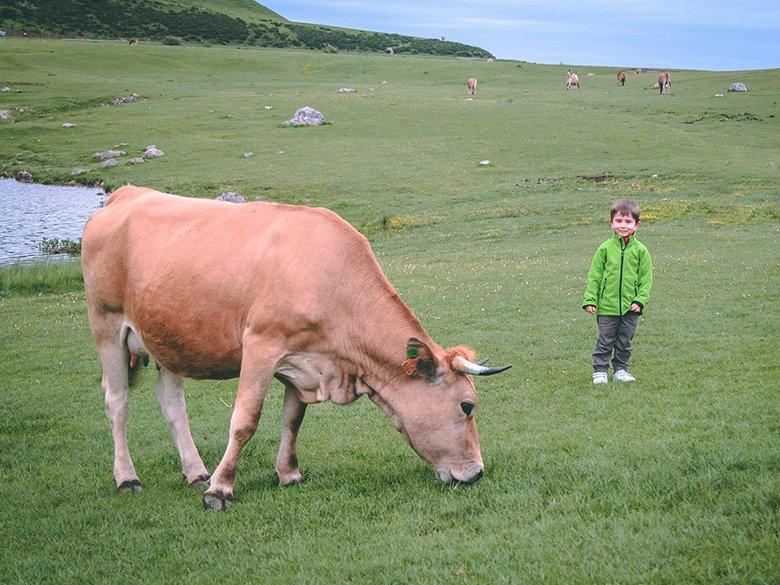 Image of natural spaces to show animals to children