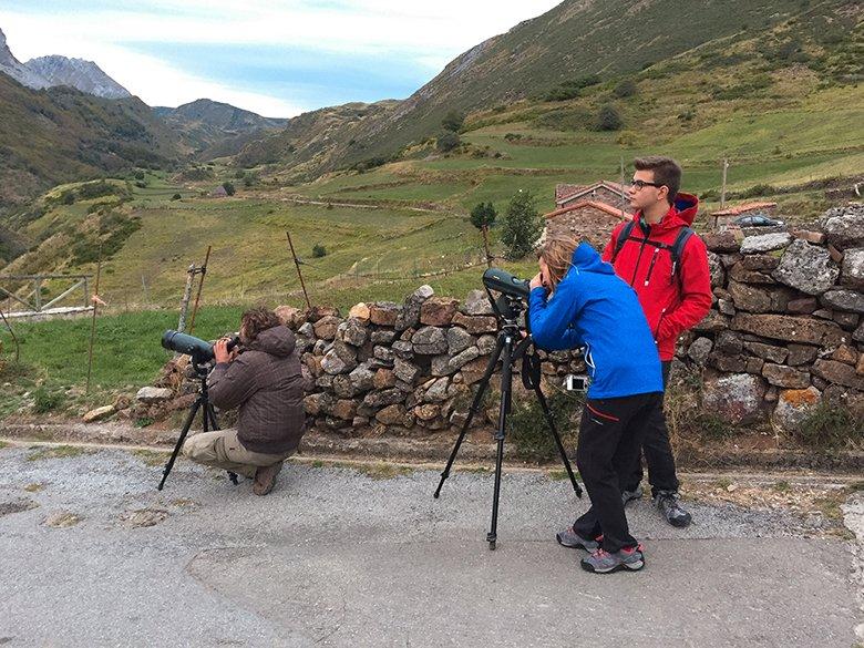 Bear watching in Somiedo ©A click of the adventure