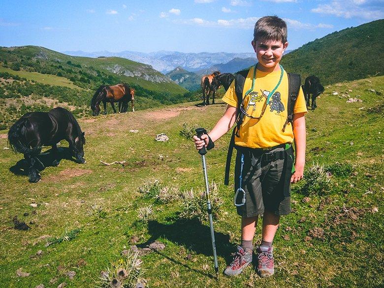 Picture of asturcones in Piloña