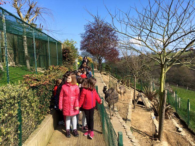 Image du zoo El Bosque à Oviedo