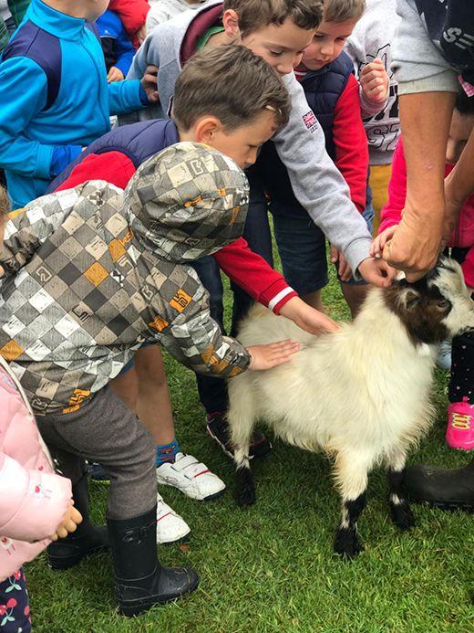 Image du centre zoologique Tuernes el pequeño à Llanera
