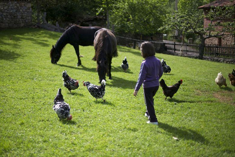 Image de la Route du Pépin au Sirviella (Onís)