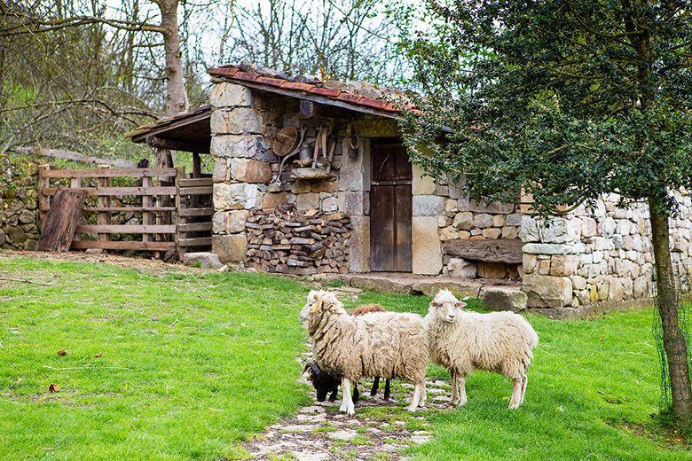 Image de la Route du Pépin au Sirviella (Onís)