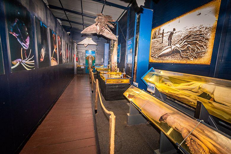 Image de l'intérieur d'une salle du Parque de la Vida.