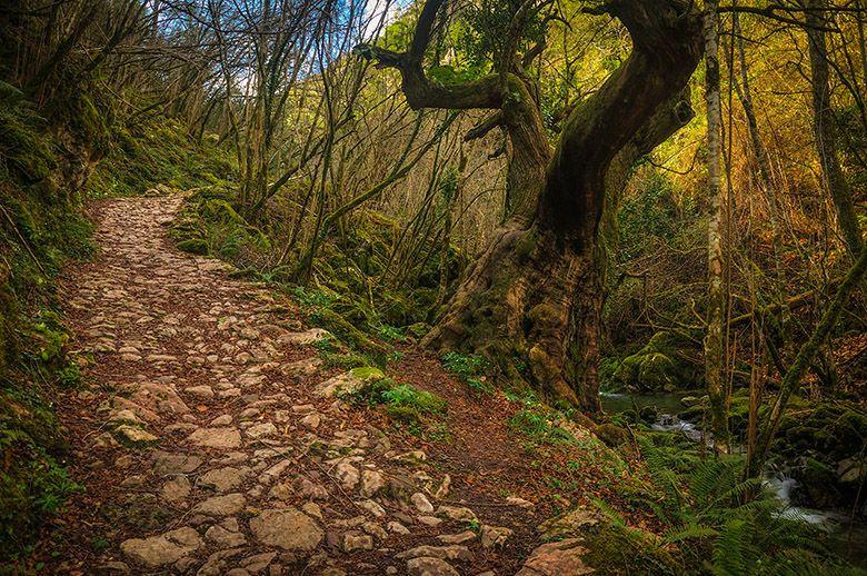 Image de la Senda del Beyu Pen à Amieva