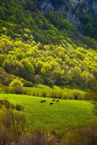 Image of Somiedo Natural Park
