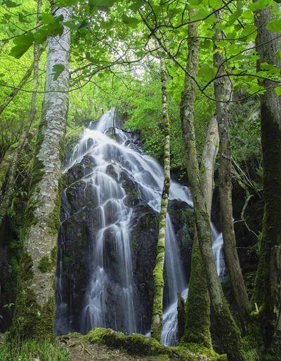 Image of the Salgueira Waterfall (Taramundi)