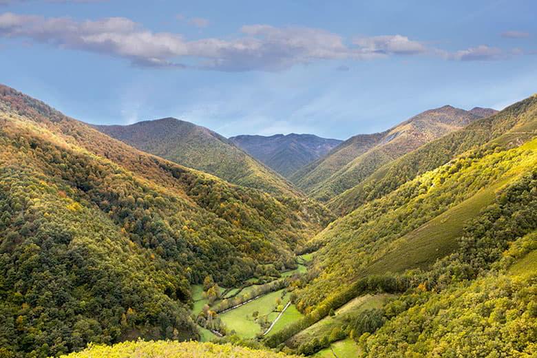 Image of the Munieḷḷos Forest (Cangas del Narcea)