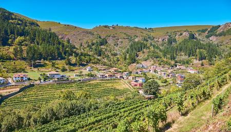 Imagen The 10 best things to see and do in Cangas del Narcea