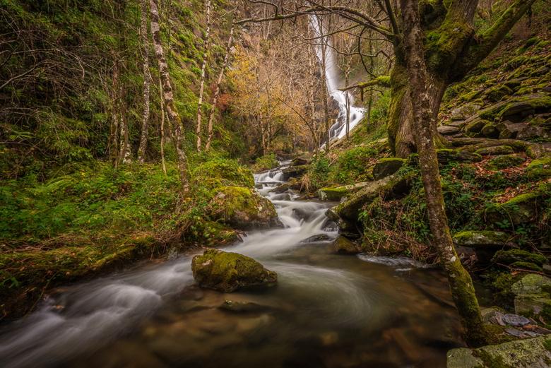 Image of A seimeira (Santa Eulalia de Oscos)