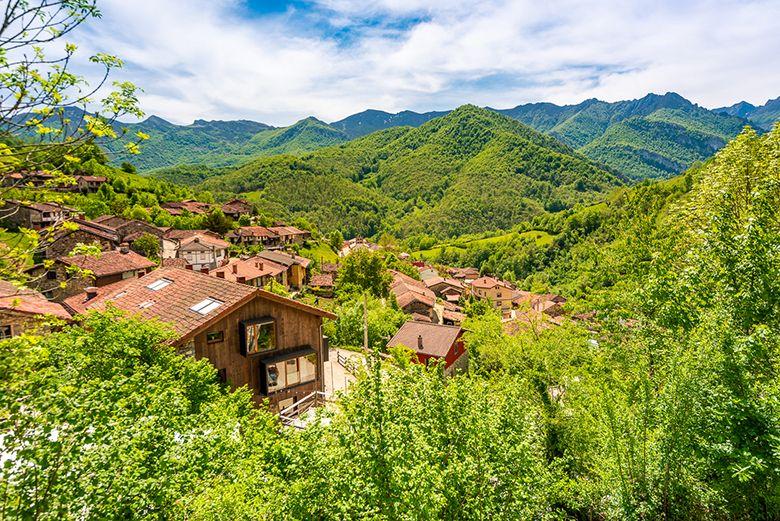 Image of Caliao (Caso)