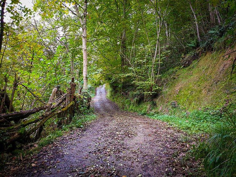 Image of the Route to the mines of Texeo and the village of Rioseco