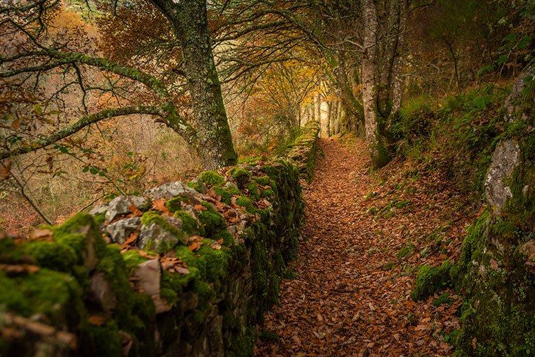 Image of the A Seimeira Route (Santa Eulalia de Oscos)