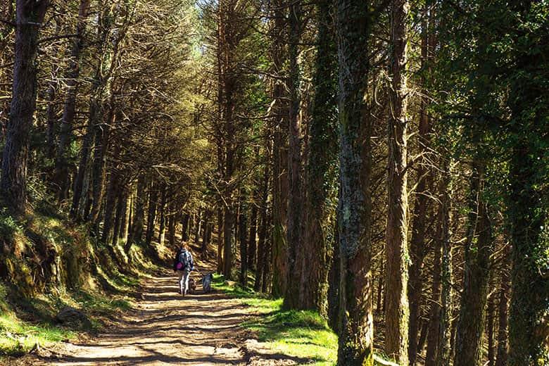 Bild der Penouta-Route