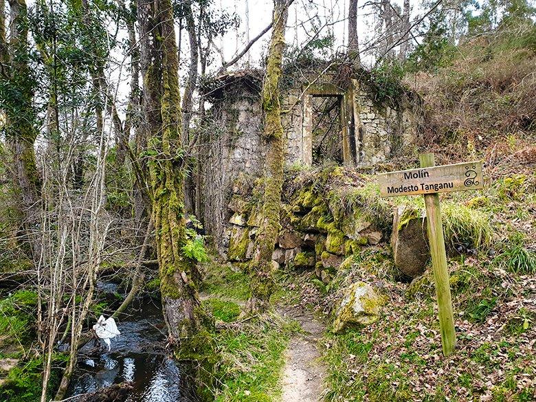 Image of the Modesto Tanganu Mill