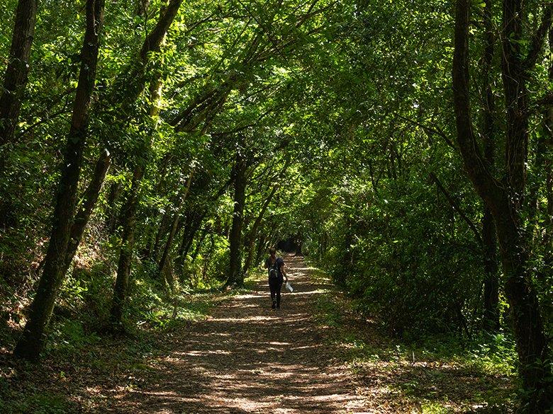 Image of the Railway Route