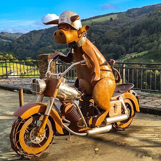 Image of the Vaca Motera