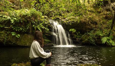 Imagen The path of La Regueirina: a walk through the damp forests of Tineo