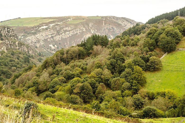 Image of La Regueirina Path