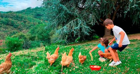 Imagen Farms with guided tours in Asturias