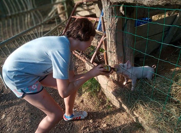 Image of El Trasgu la Fronda (Laviana)