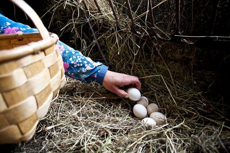 Image of Casa Jesusa (Carreño)