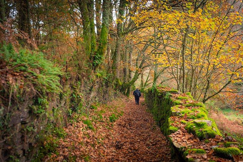 Image of the A Seimeira Route (Santa Eulalia de Oscos)