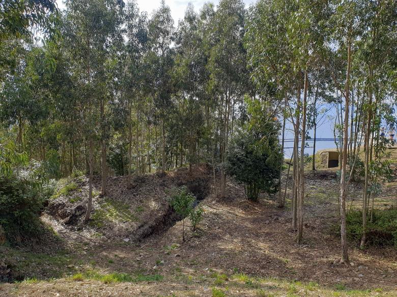 Image of the Ranon Forts