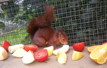 Imagen El Bosque Zoo