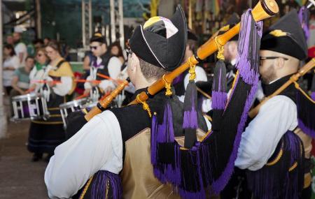 Nava Natural Cider Festival