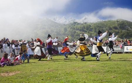 Shepherd´s Festival