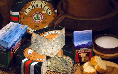 Cabrales cheese