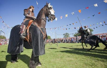 Exconxuraos Festival