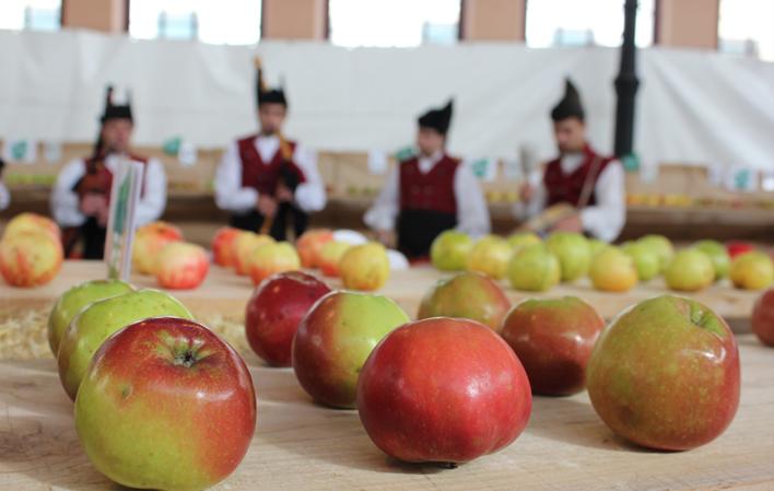 Go to Image Apple Festival