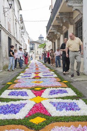 Corpus Floral Carpets